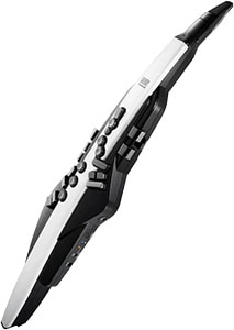 AE-20 Aerophone